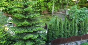 George Apartament Central cu gradina proprie